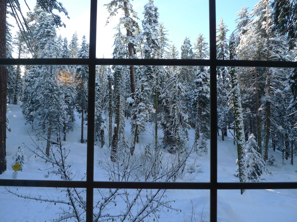 Christmas2010 170.JPG